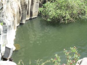 נחל זוויתן- הזוויתן