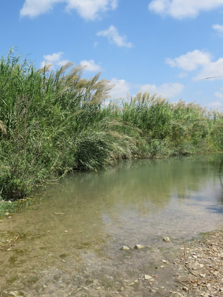 בריכת נחל תנינים