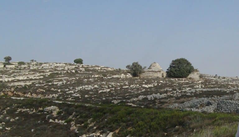 שייח זייתון