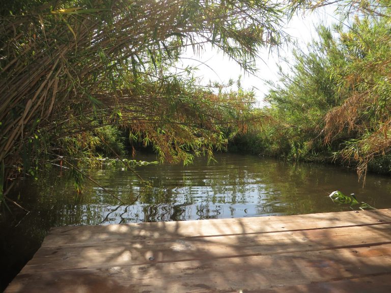 סכר ירדינון