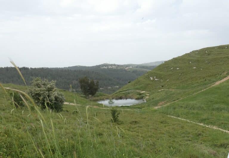 העין הכחולה – גוש חלב