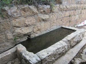 עין נר