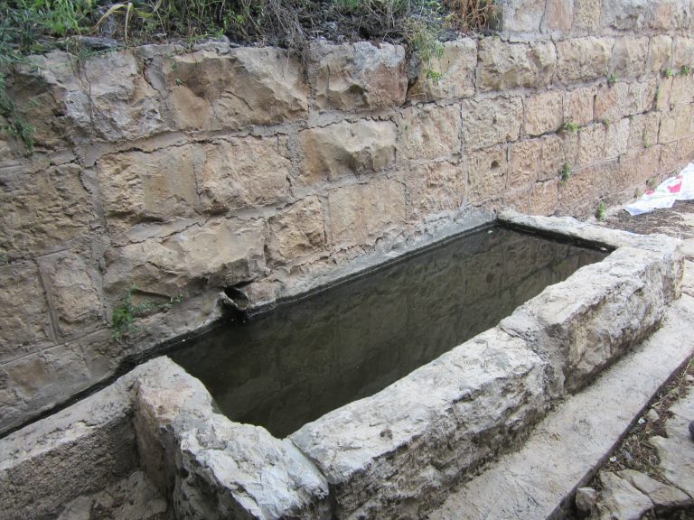 עין נר