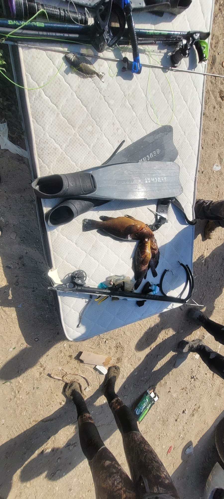 פקחי רט"ג זיהו שני צוללים שעסקו בדיג עם רובה