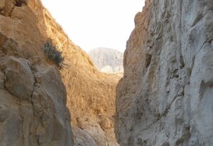בעקבות מפולת הסלעים בנחל דוד בקק״ל מחדדים המלצות לטיול בטוח