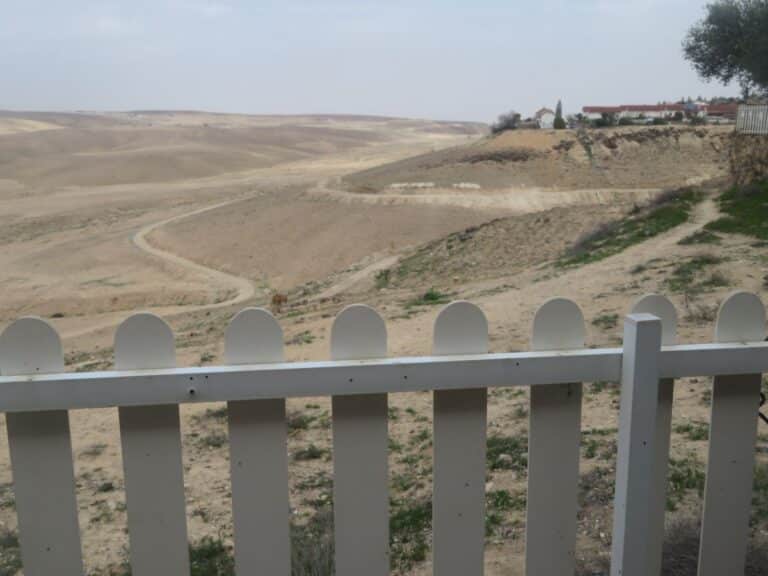 מגנום
