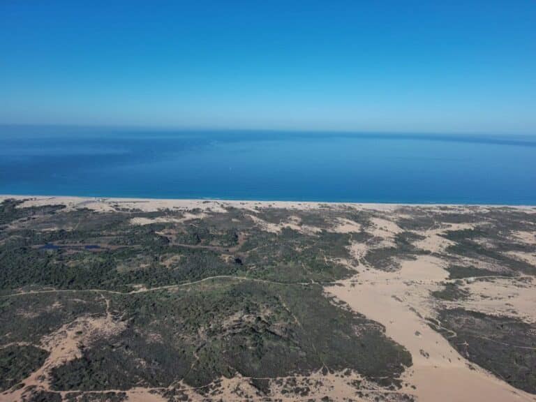 יחידת אירוח הגלים