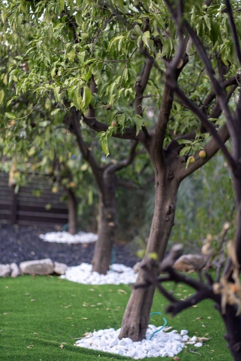 וילה גדולה בטבריה