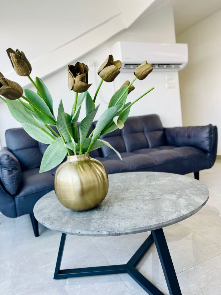 פנטהאוז נופים בהר