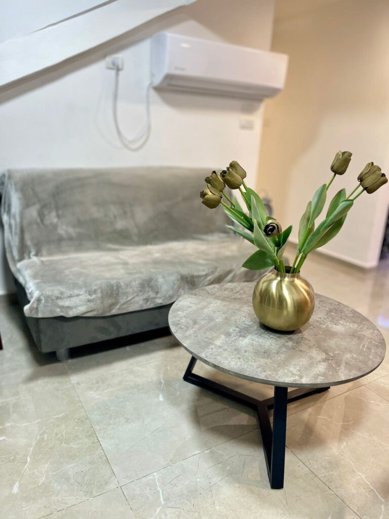 פנטהאוז נופים בהר